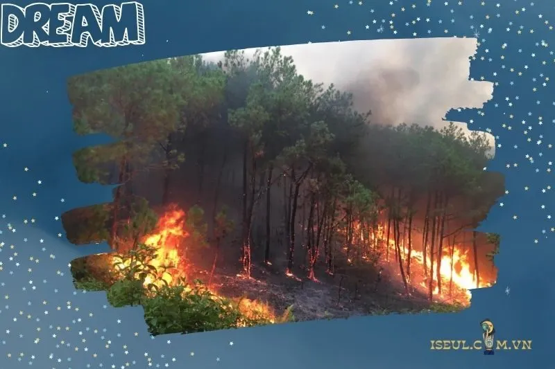 Mơ thấy đồng nghiệp làm cháy rừng