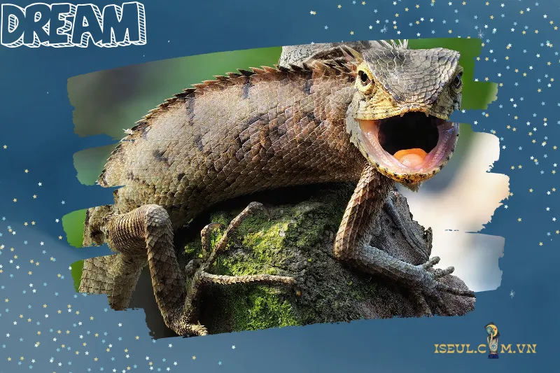 Mơ Thấy Kỳ Nhông Màu Xanh