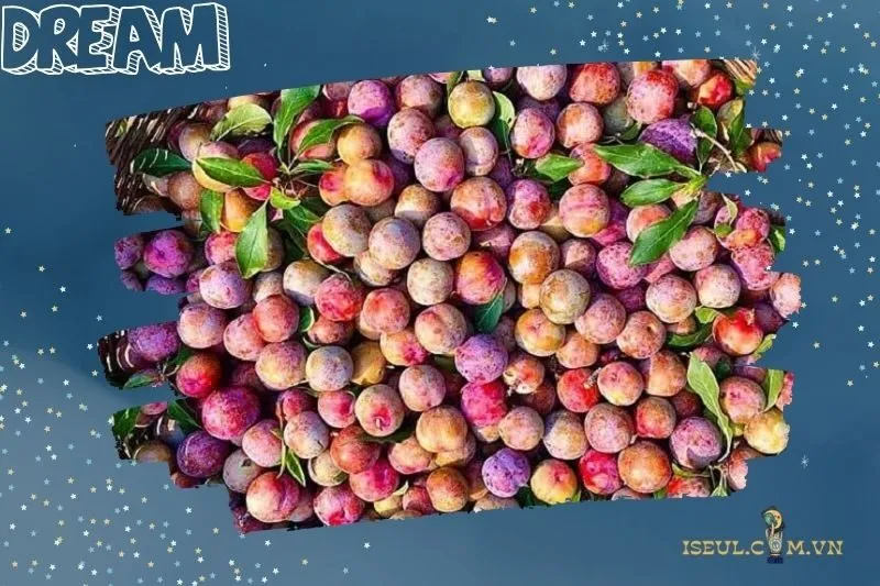 Mơ thấy trèo cây hái mận