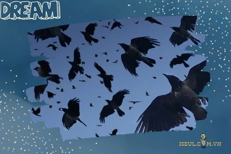 Mộng Thấy Đàn Quạ Đen Bay Trong Im Lặng