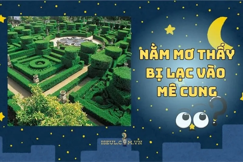 Nằm Mơ Thấy Bị Lạc Vào Mê Cung: Bí Ẩn Đằng Sau Cảm Giác Bối Rối 2025