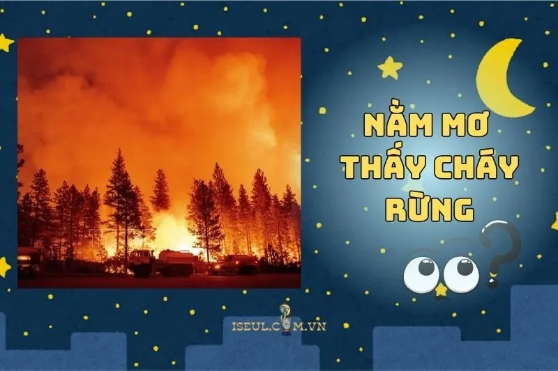 Nằm mơ thấy cháy rừng là điềm gì? Hé lộ bí ẩn giấc mơ lửa lớn 2025