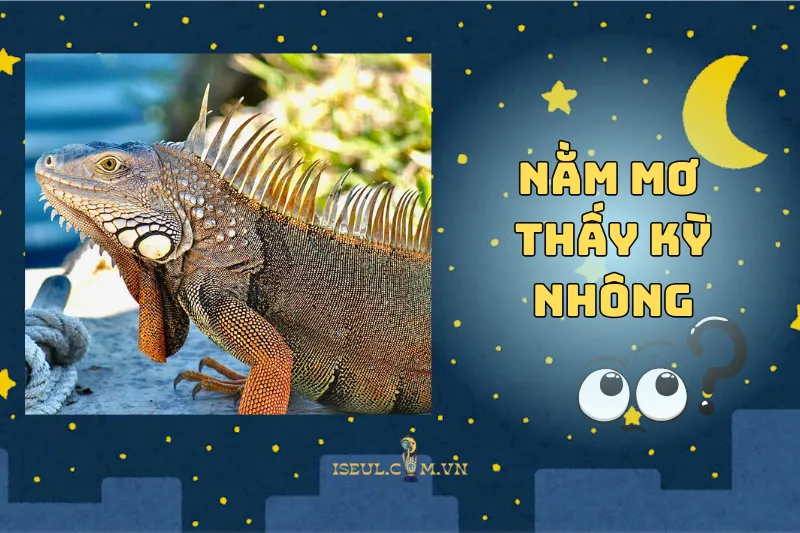Nằm Mơ Thấy Kỳ Nhông: Giải Mã Điềm Báo Và Con Số May Mắn 2025