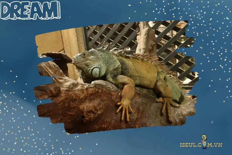 Nằm Mơ Thấy Kỳ Nhông Và Những Con Số May Mắn