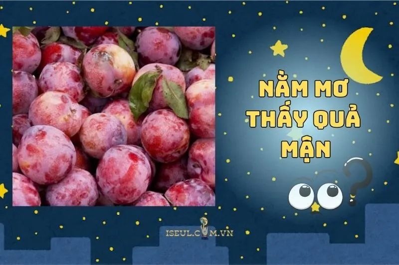Nằm mơ thấy quả mận là điềm gì? Hé lộ bí mật từ giấc mơ 2025