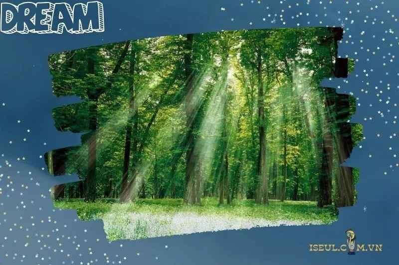 Nằm mơ thấy rừng là điềm tốt hay xấu?
