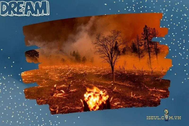 Ngủ mơ thấy cháy rừng nhưng được dập tắt