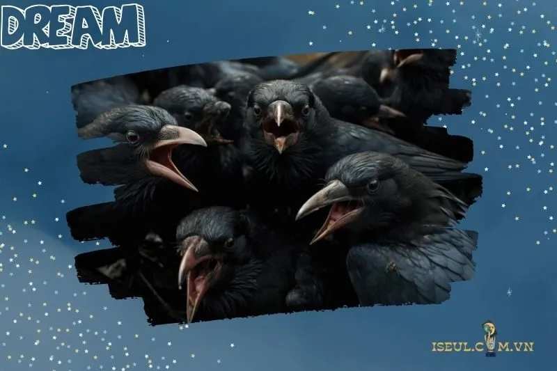 Ngủ Mơ Thấy Đàn Quạ Đen Đang Bay Vào Bên Trong Nhà Mình