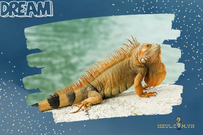 Ý Nghĩa Nằm Mơ Thấy Kỳ Nhông